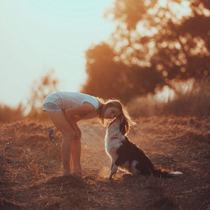 dierencommunicatie-verbinding