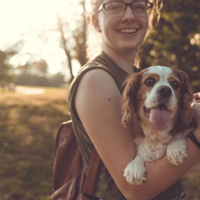 hond-en-mens-healing